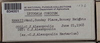 Image Associated With the Occurence